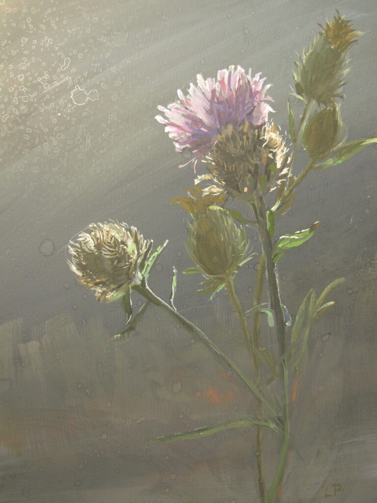 Thistle painting in gouache by Lorena Pugh