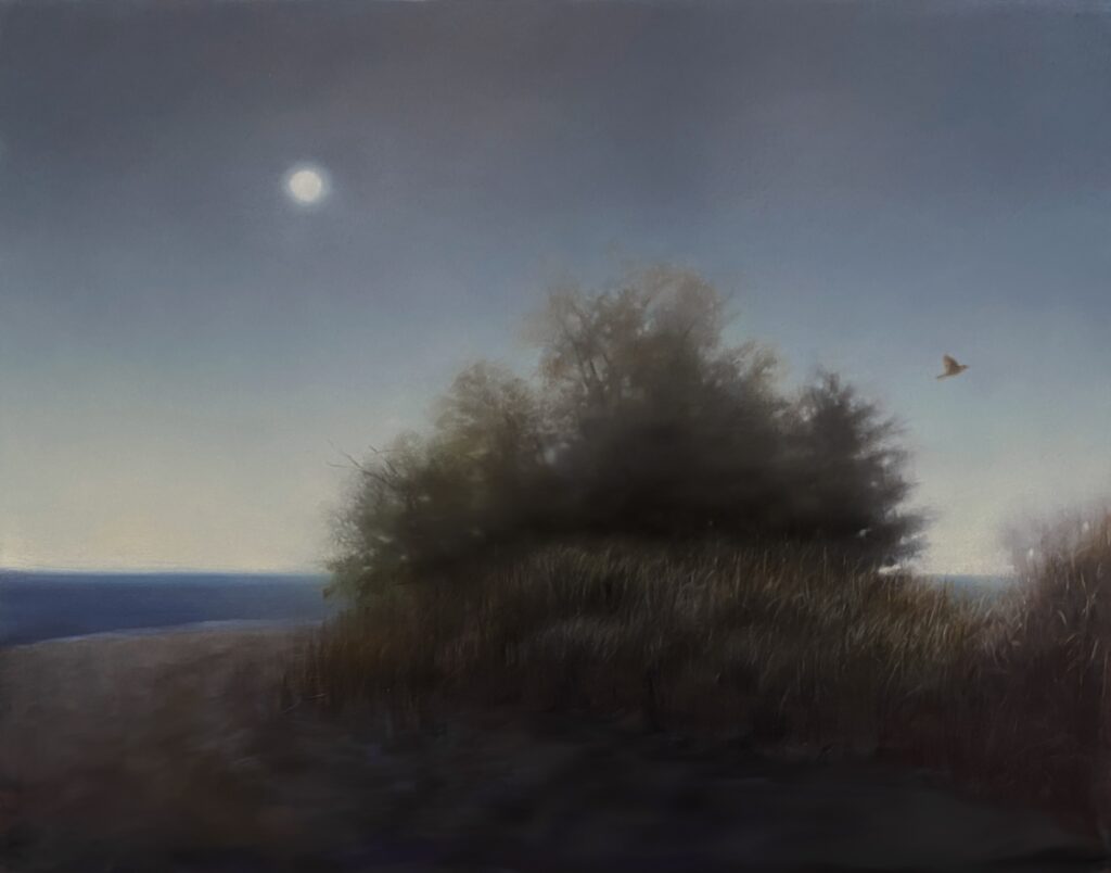 Oil Painting, Nocturn, Bird Flying, Beach